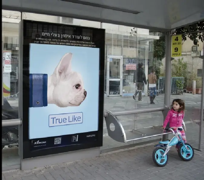 Dog-Facebook-Like-Button