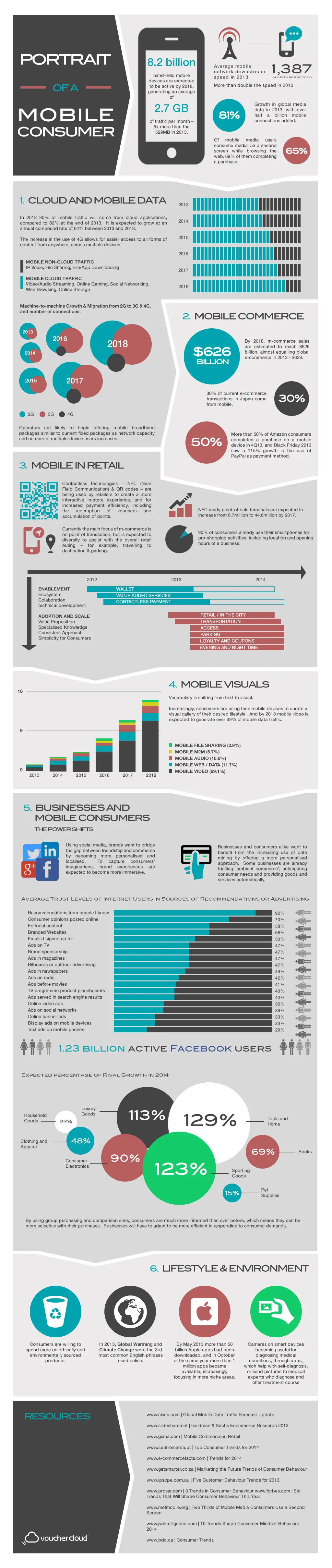 wersm-portrait of a mobile consumer infographic
