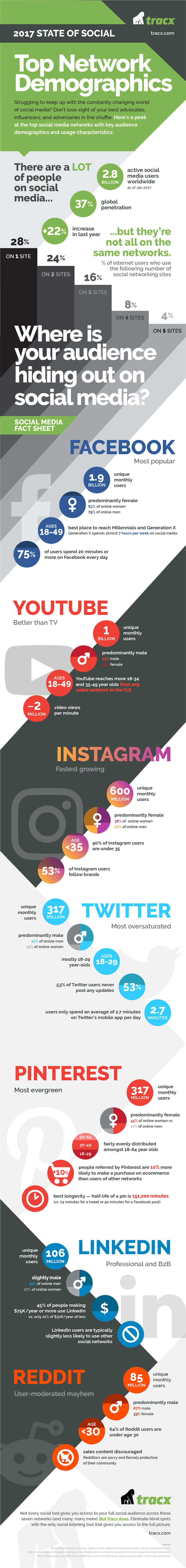 wersm-demographics-top-social-networks-2017