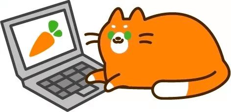 wersm-instacart-instacat