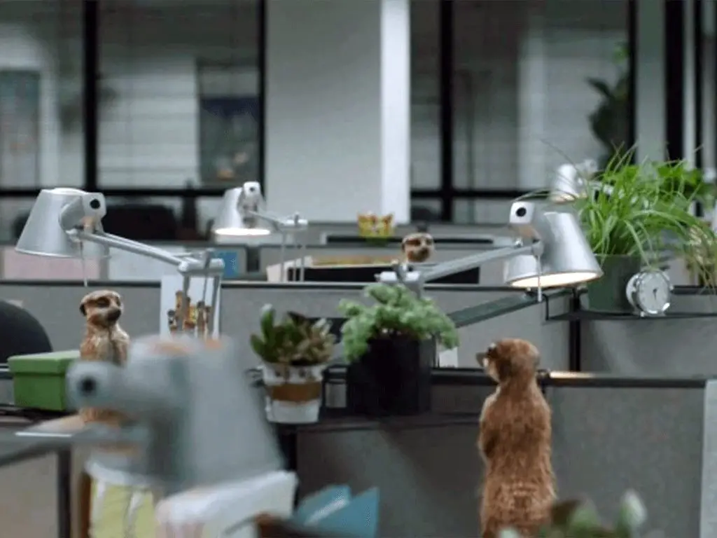 wersm-top-tv-spots-geico-meerkats