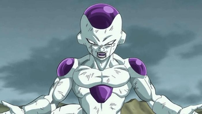 wersm-dbz-freezer