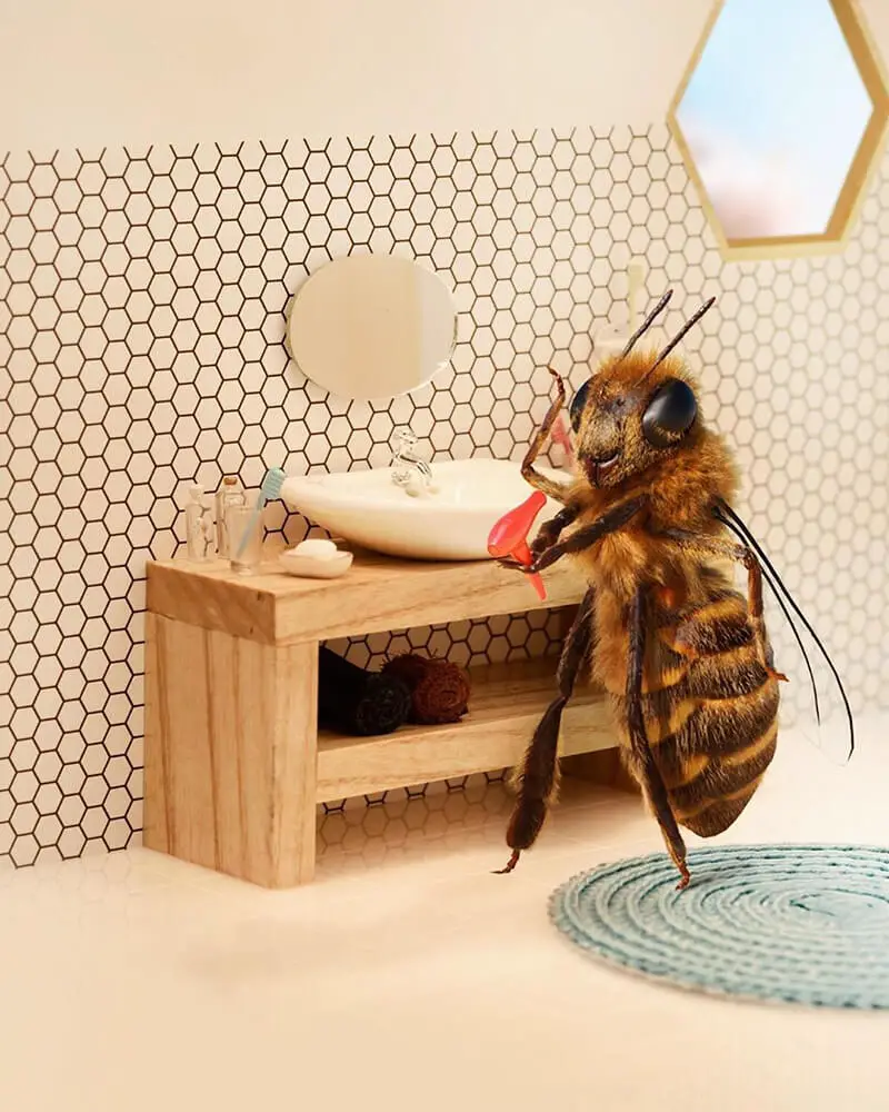 Meet The World's First Bee Influencer On Social Media