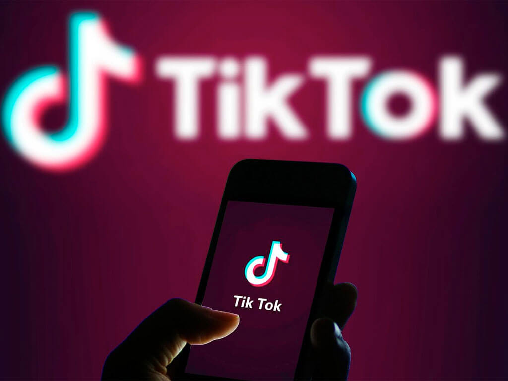 download all video from tiktok profile