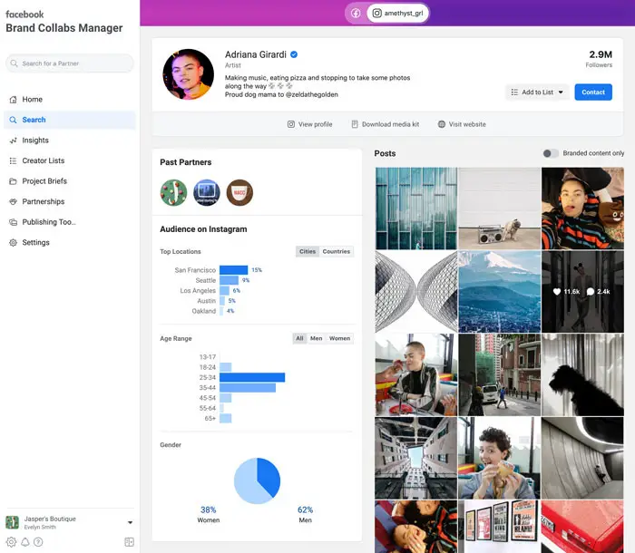 instagram brand collabs manager