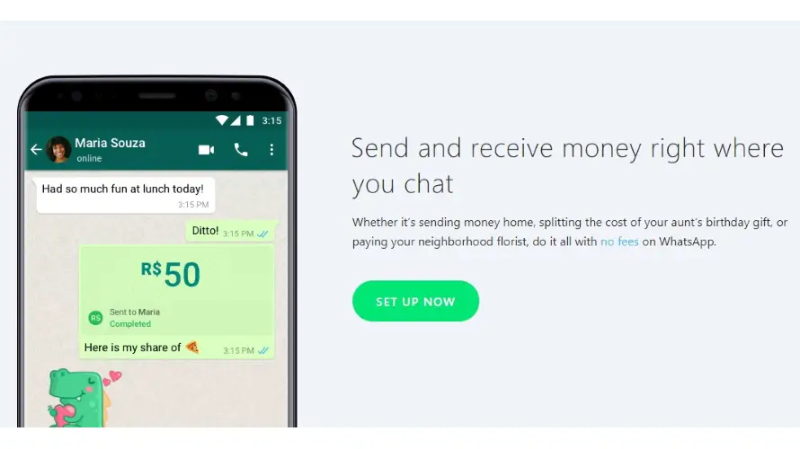 whatsapp payments