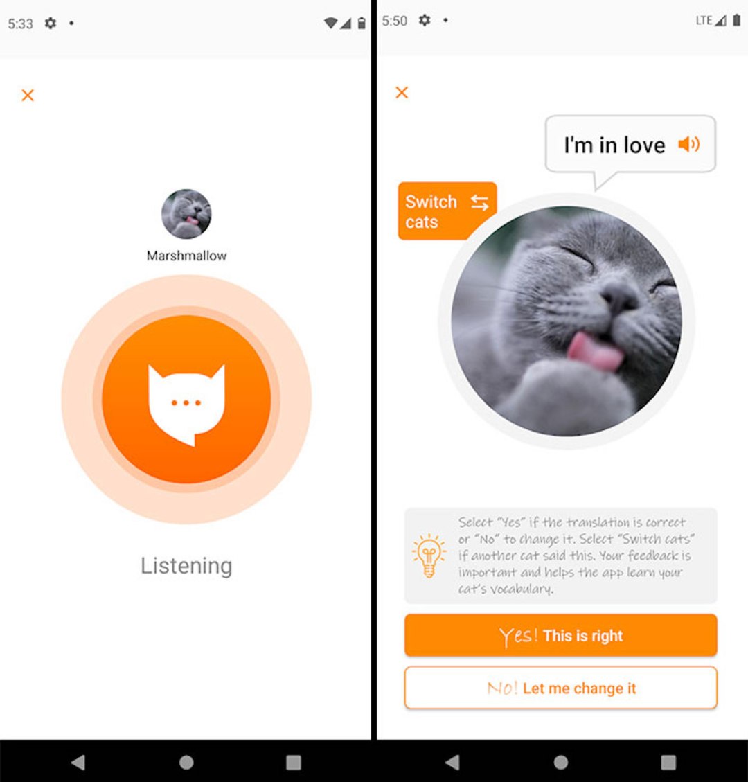 Meowtalk The App That Gives Your Cat A Voice