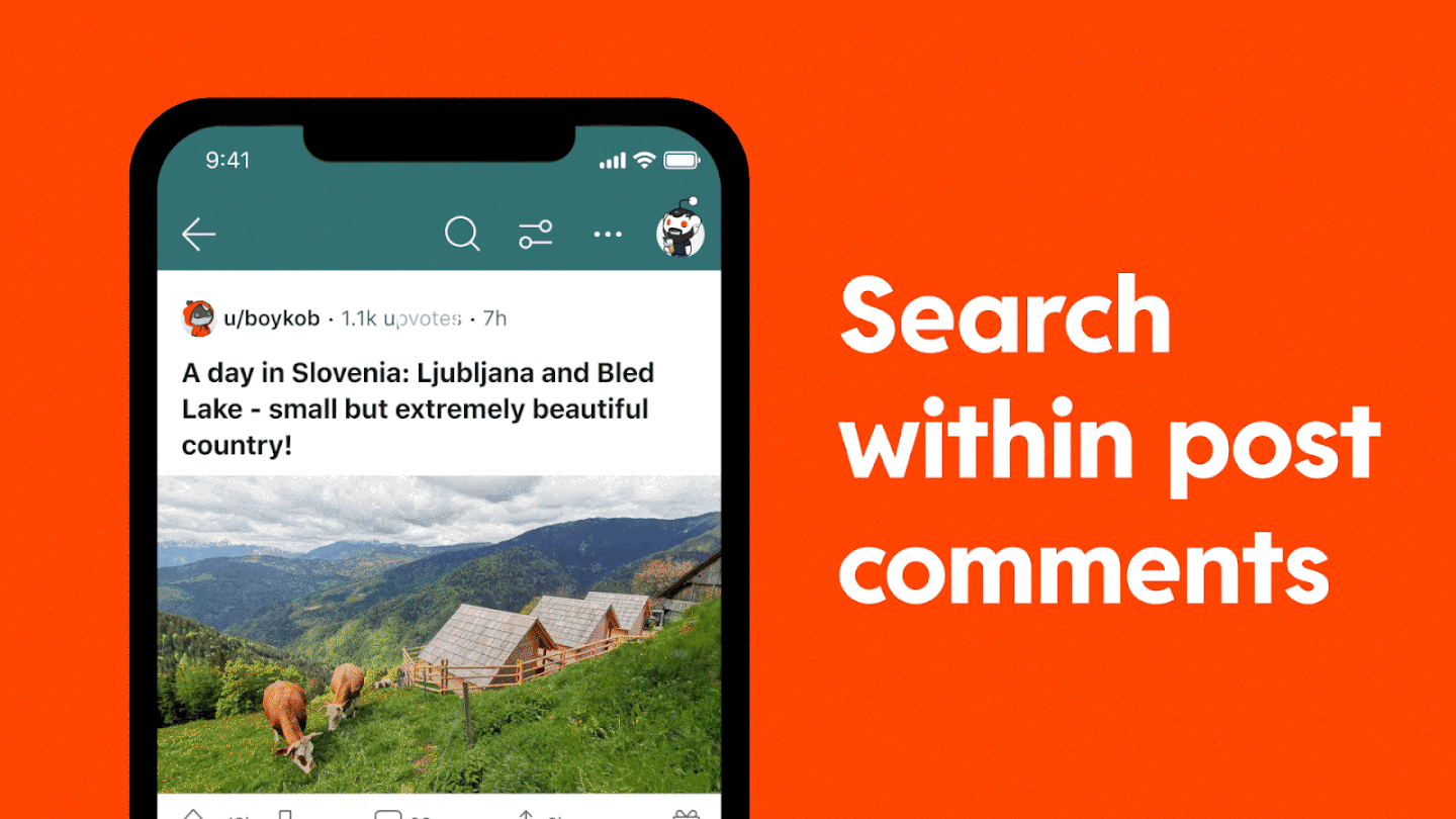 search reddit comments 
