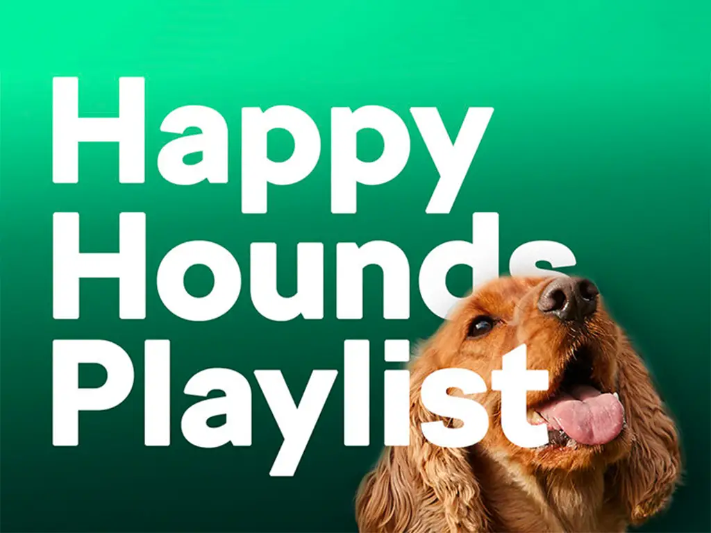 skoda spotify playlist dogs