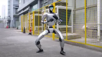 kung fu fighting robot