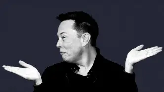 elon musk shrug