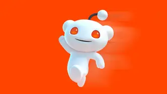 reddit 20 years old