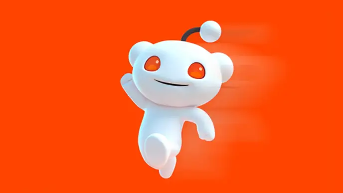 reddit 20 years old