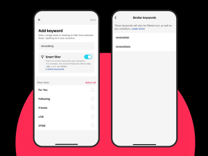 TikTok Smart Keyword Filters