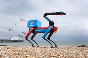 Domino's domidog