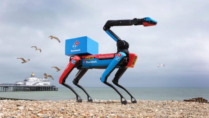 Domino's domidog