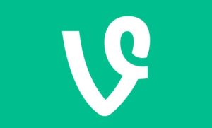 Vine AI