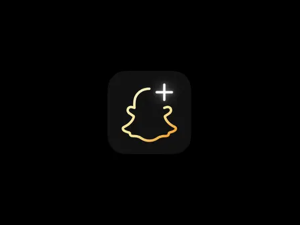 snapchat buddy passes