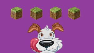purina beggin' blocks minecraft