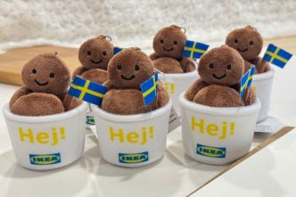 IKEA meatballs plush keychains