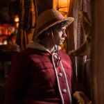 one piece Netflix season 2