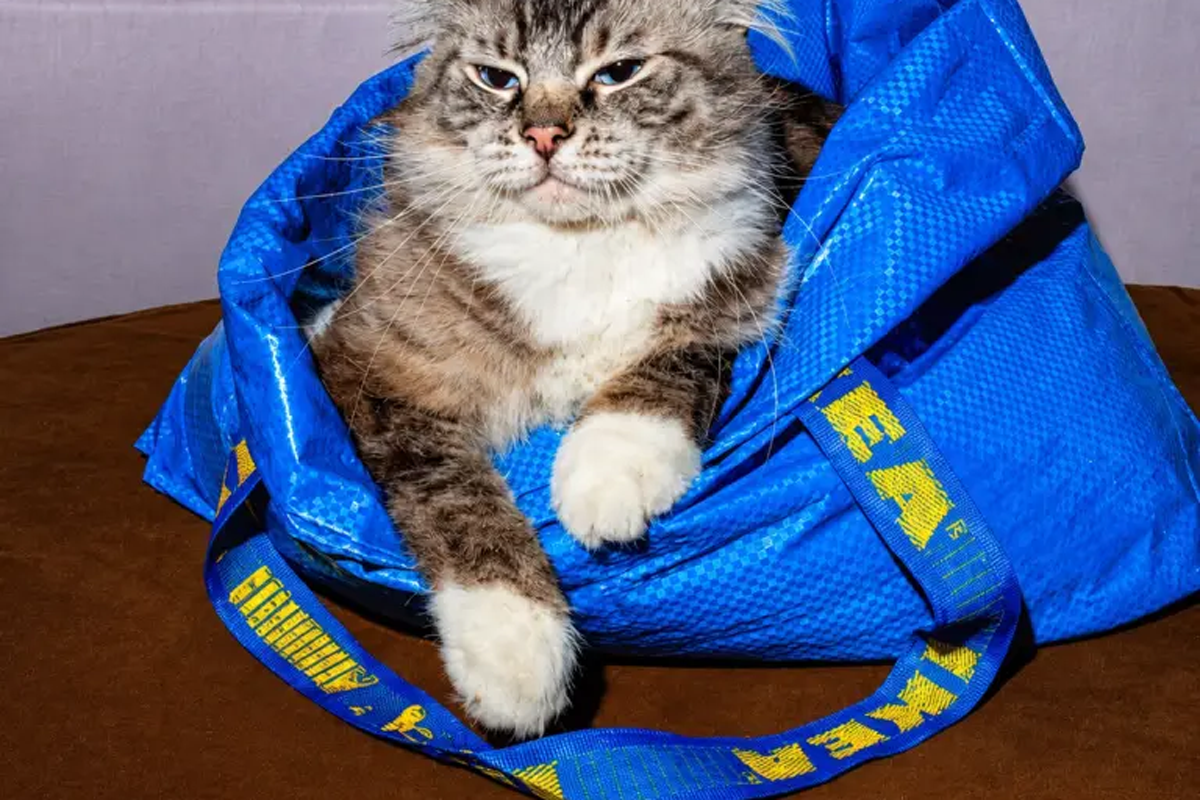 IKEA Turns Customer FRAKTA Hacks Into A Campaign